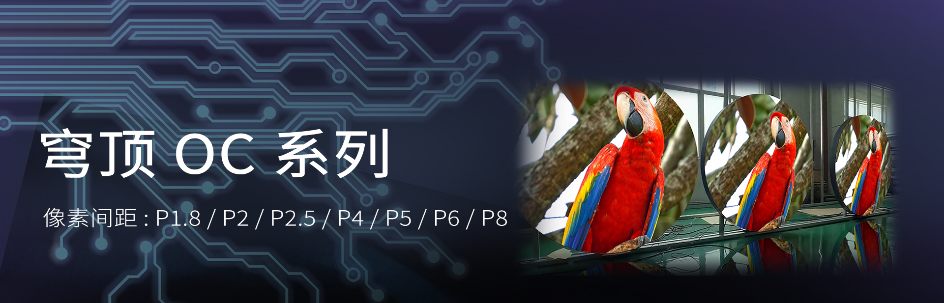 盘子---中_01.jpg
